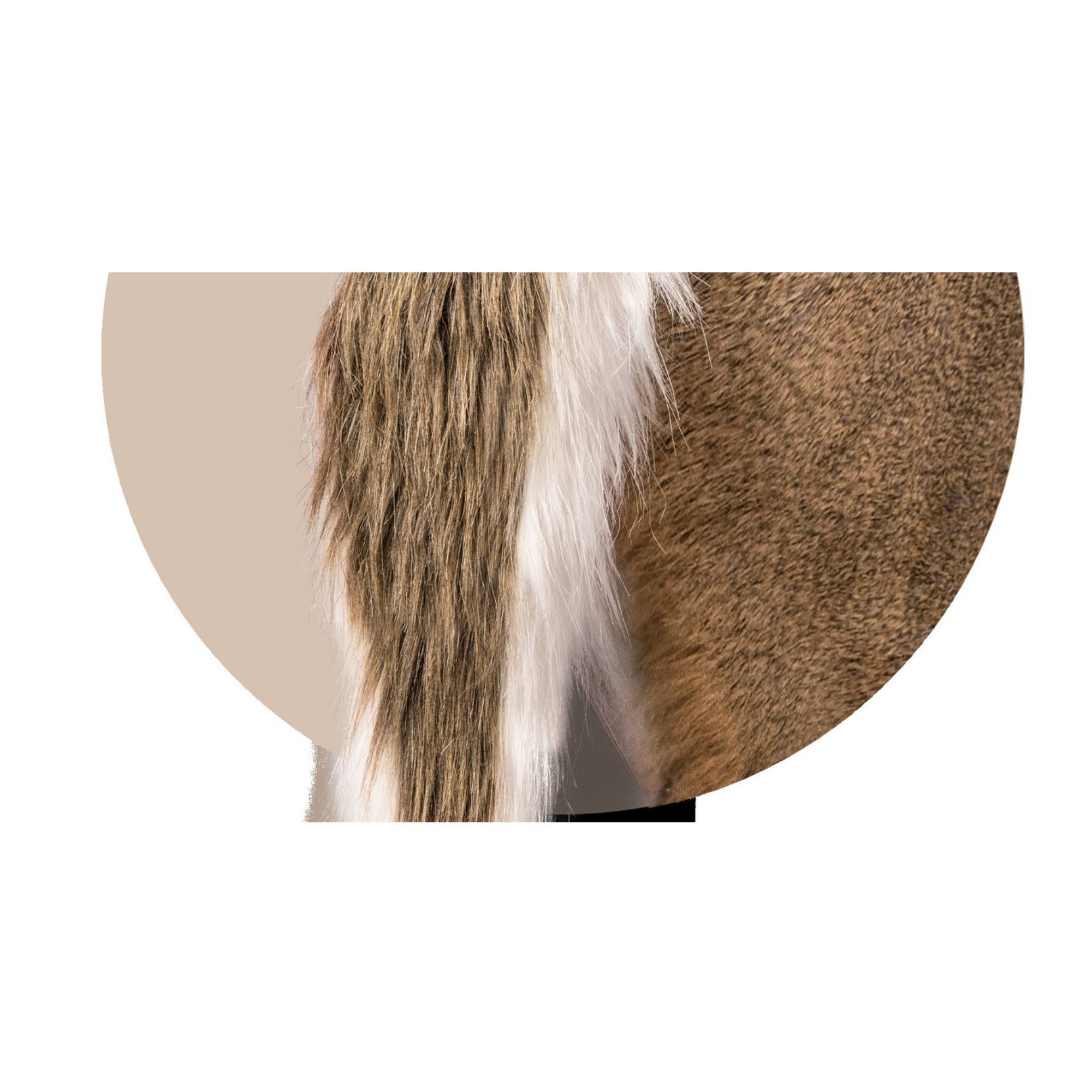Montana: Trixie Whitetail Doe - Ultra-Realistic Deer Decoy with Teaser Tails