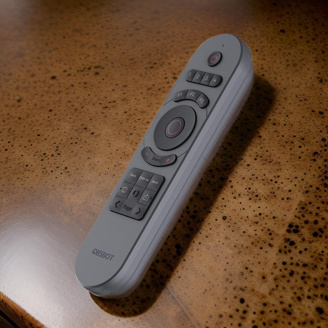 OBSBOT Smart Wireless Remote Controller (Gray) with AA Alkaline Batteries (4-Pack) Bundle