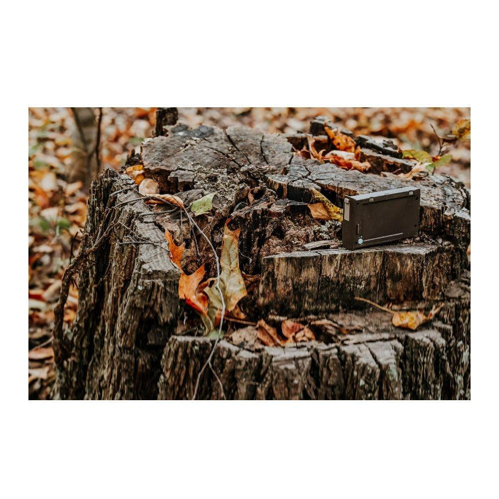 Browning Trail Cameras Rechargeable Battery Power Pack (10-Pack) Bundle