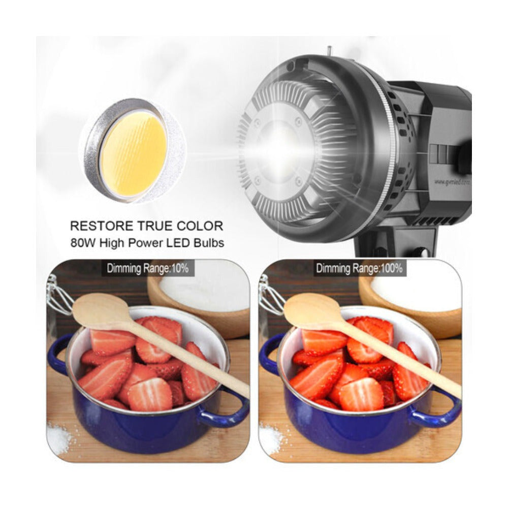 GVM LED Video Soft Light Daylight-Balanced LS-p80s LED 1-Light Kit with Umbrella