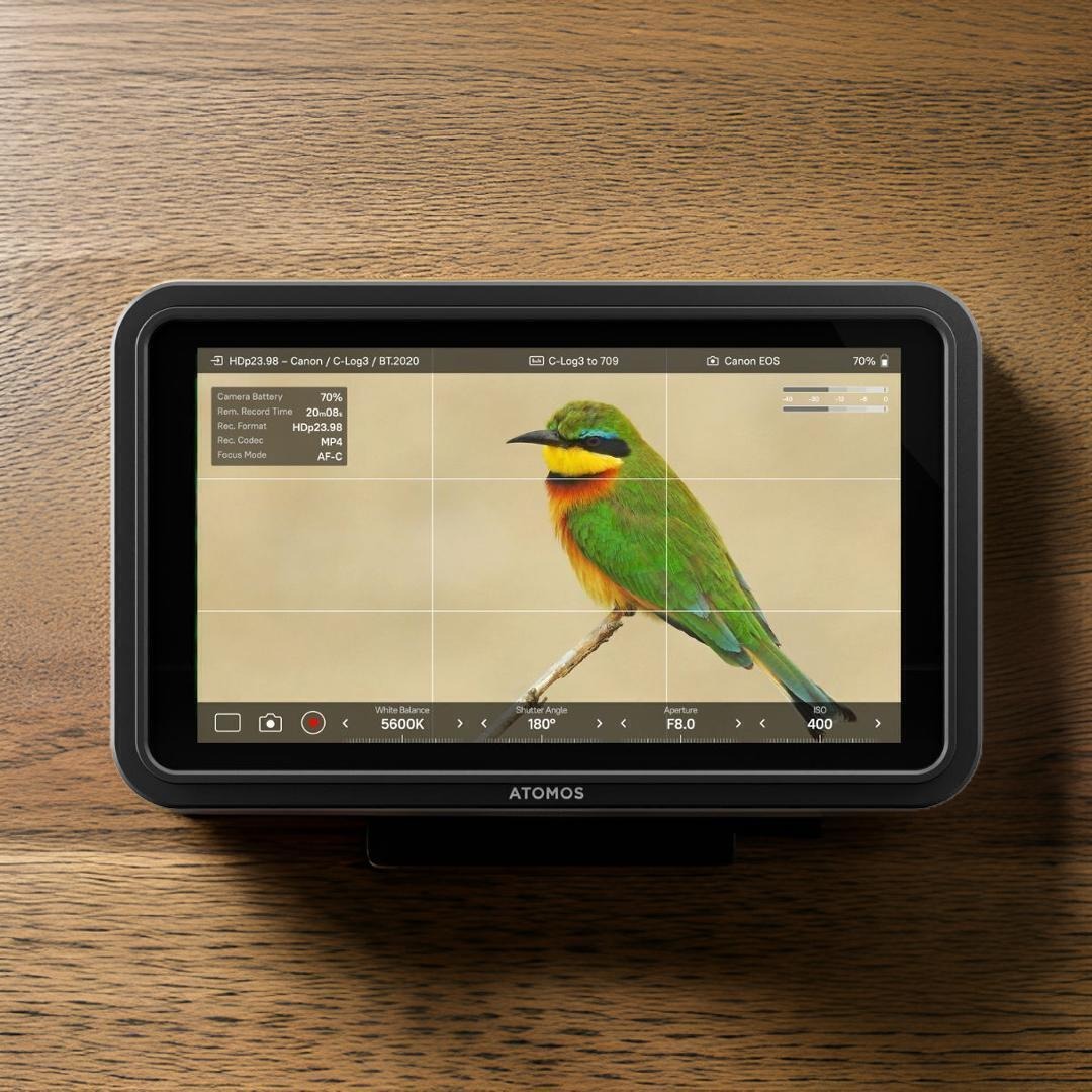 Atomos Shinobi II 5-Inch HDMI 4K Monitor Bundle with Creator Kit
