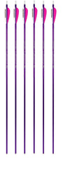 Genesis Archery Easton XX75 30 in NASP Arrows for Genesis Bows (6-pack, Purple)