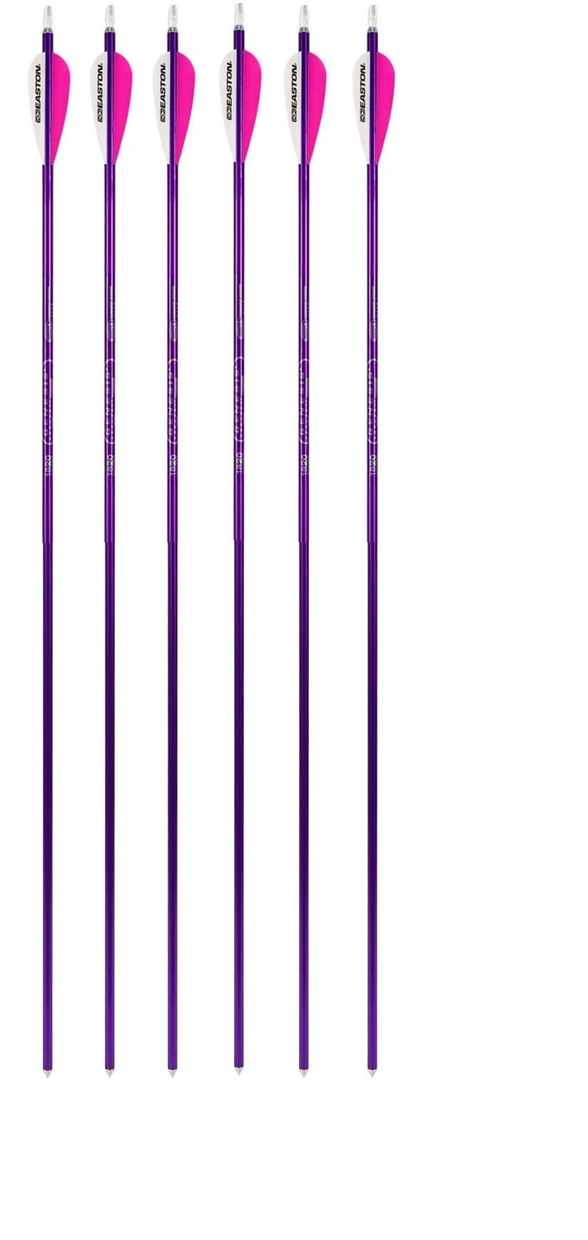 Genesis Archery Easton XX75 30 in NASP Arrows for Genesis Bows (6-pack, Purple)