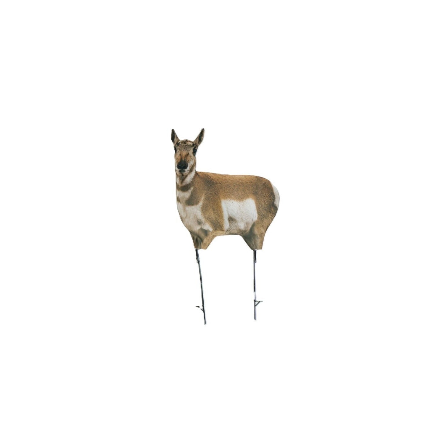 Montana Decoy Antelope Combo - Realistic Buck and Doe Set