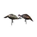 Montana Decoy Purr-Fect Pair XD3 Combo Turkey Decoys with Multiple Pose Options