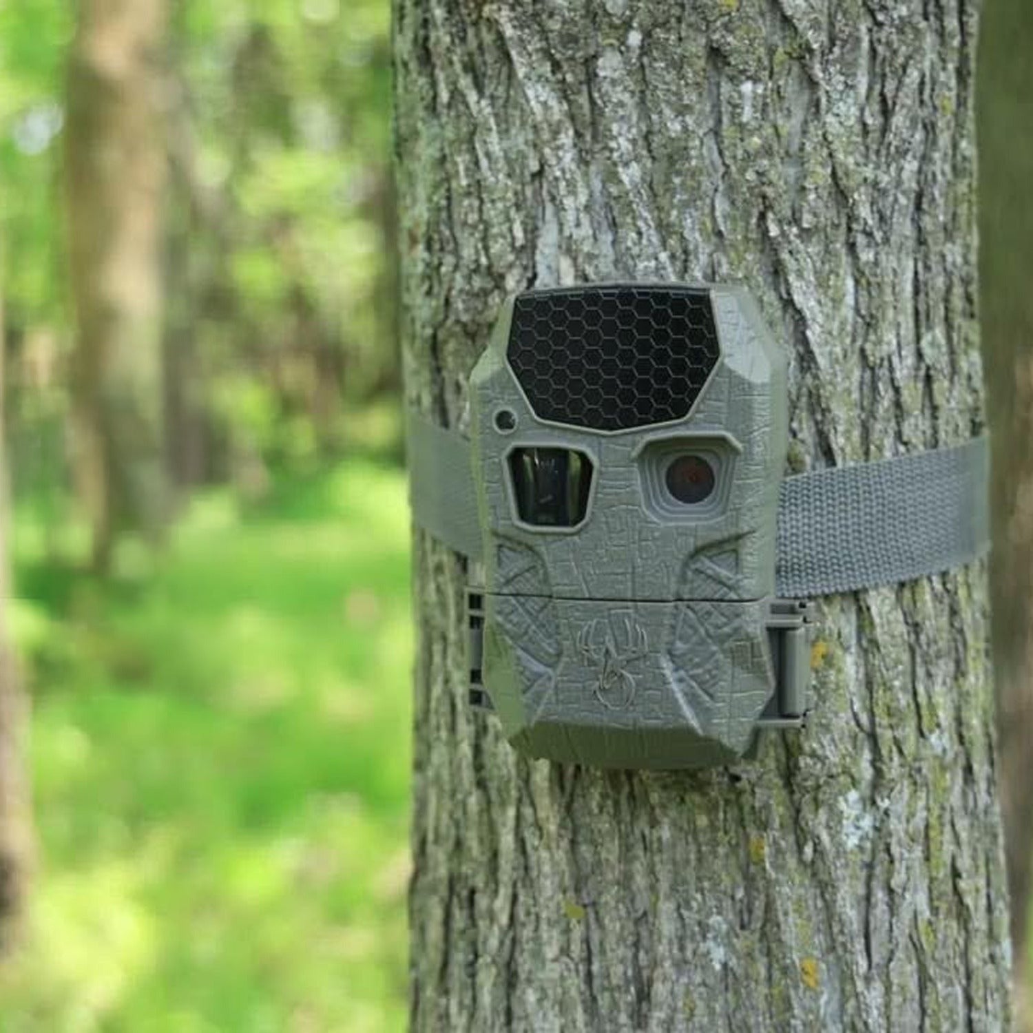 Wildgame Innovations Kicker 2.0 Lightsout Trail Camera with 18MP Resolution (6-Pack) Bundle