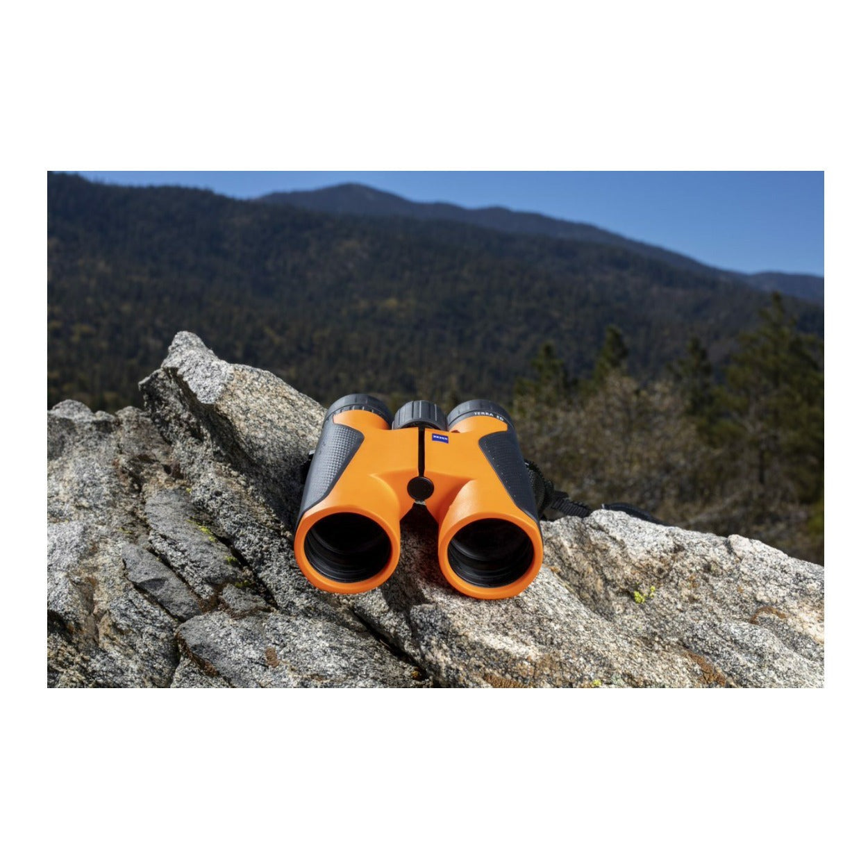 Zeiss 10x42 Terra ED Binoculars (Black/Orange)