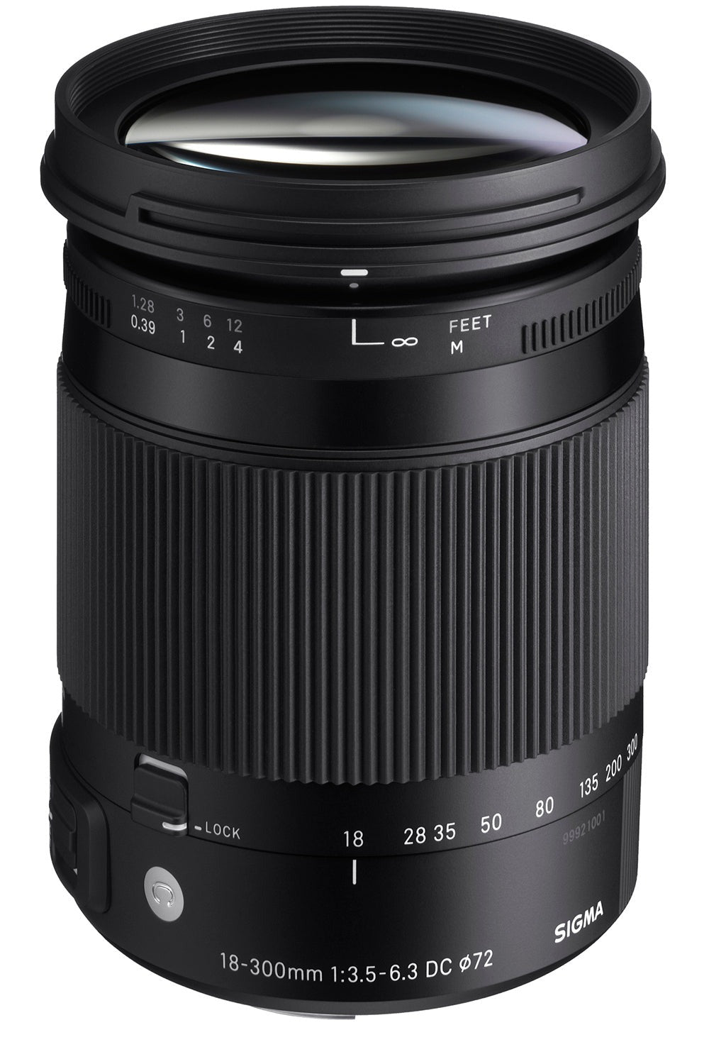 Sigma 18-300mm f/3.5-6.3 DC MACRO OS HSM Contemporary Lens for Sony A