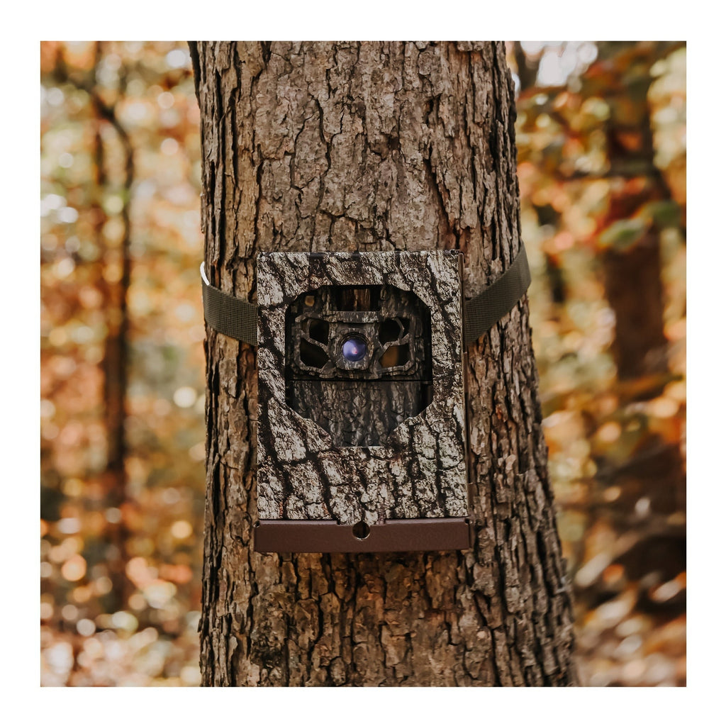 Browning Trail Cameras - Dark Ops FHDR40 with 32GB Memory Card and Card Reader