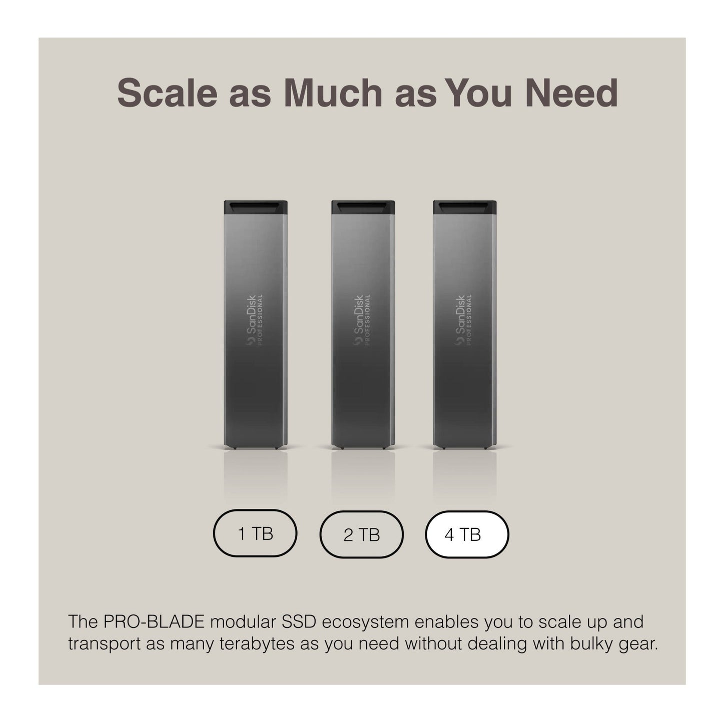 Sandisk Professional 4 TB Pro-Blade SSD MAG NvME with Pro-Blade Transport (0 TB)