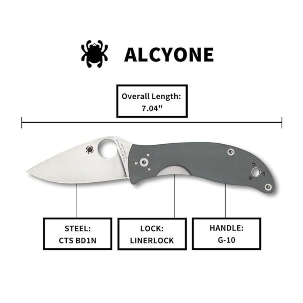 Spyderco Alcyone Gray Folding Knife with CTS BD1 PlainEdge Steel Blade