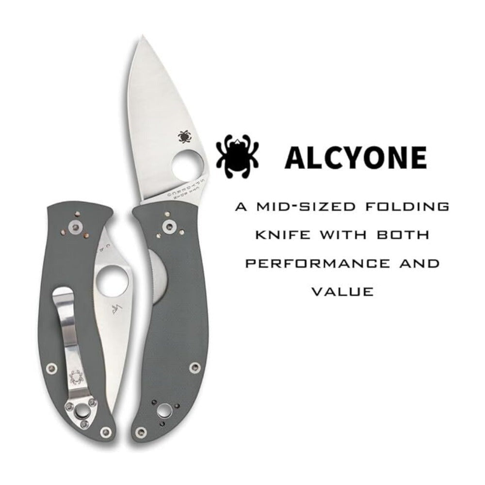 Spyderco Alcyone Gray Folding Knife with CTS BD1 PlainEdge Steel Blade