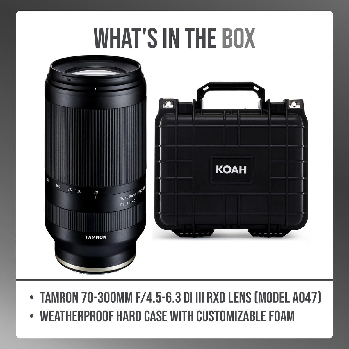 Tamron 70-300mm F/4.5-6.3 Di III RXD Lens with Weatherproof Hard Case Bundle