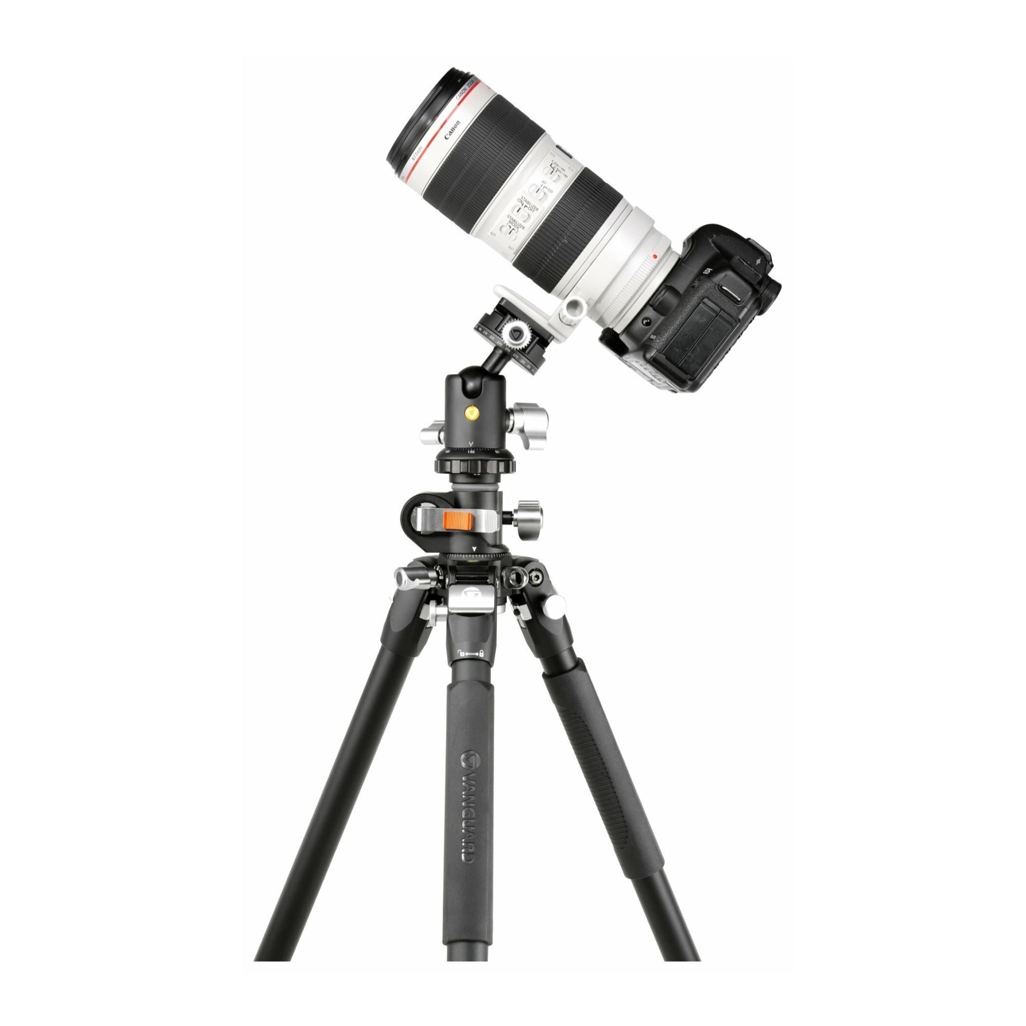Vanguard Aluminum Tripod with VEO BH-160S Ball Head