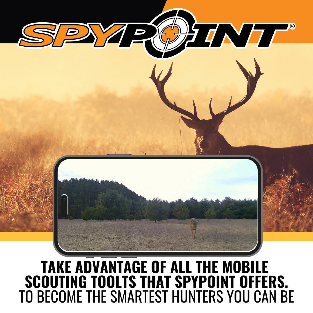 Spypoint LINK-MICRO-LTE-V Cellular Trail Camera with 32GB Micro SD Card (2-Pack)