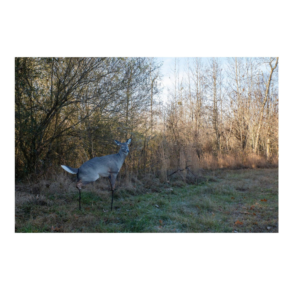 Montana Decoy Estrus Betty Whitetail Deer Decoy (Peeing Doe) for Bow Hunting