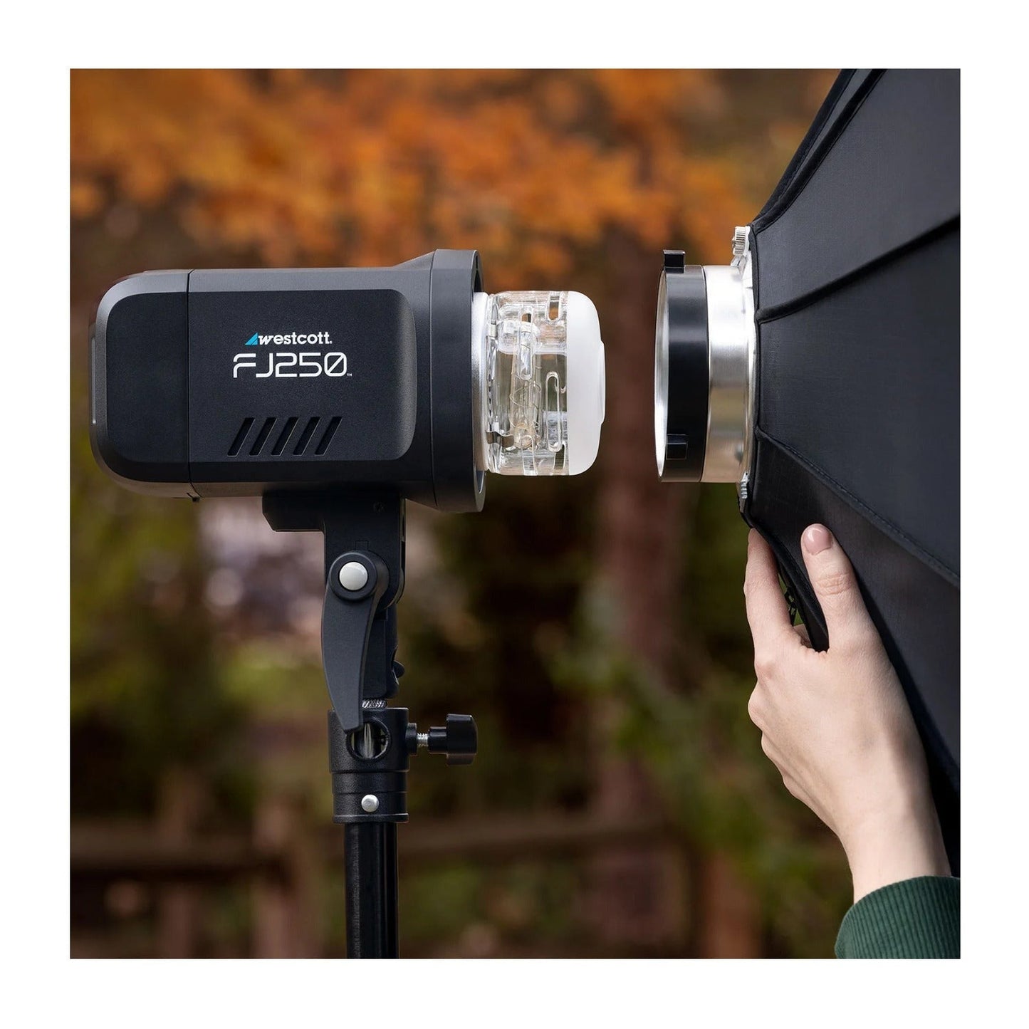 Westcott FJ250 250W Strobe 1-Light Backpack Kit with FJ-X3 M Multi-Brand Wireless Trigger